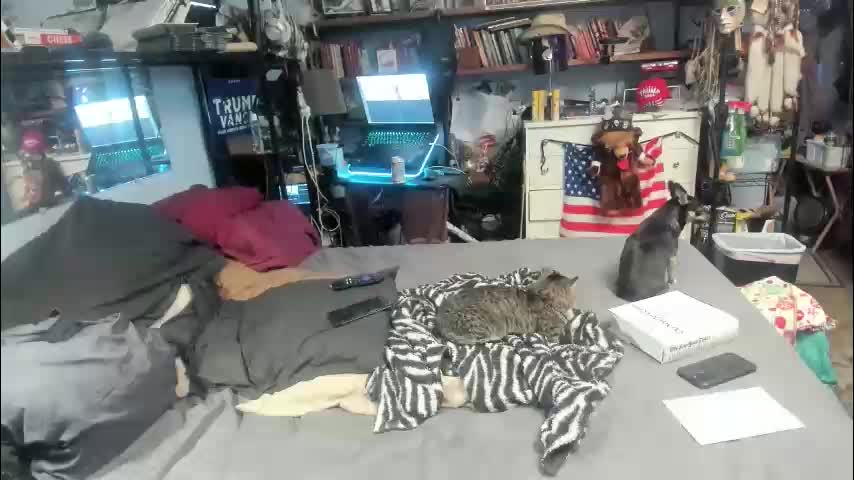 pink_black Cam Model Chat January 4, 2026