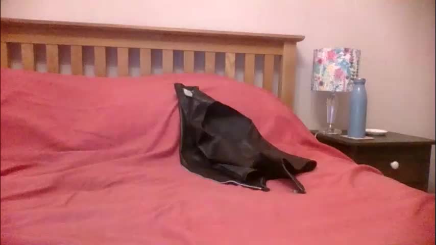 annecharlie Cam Model Chat January 4, 2026