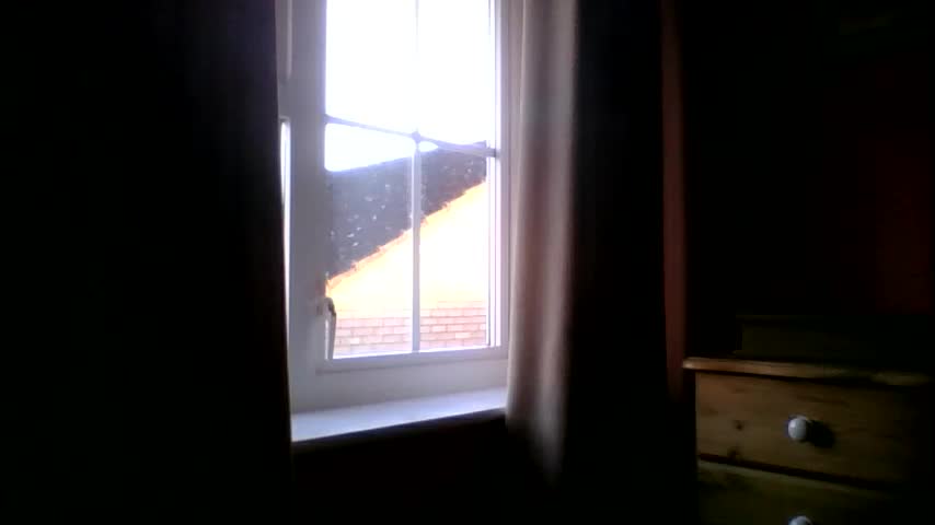 annecharlie Cam Model Chat January 4, 2026