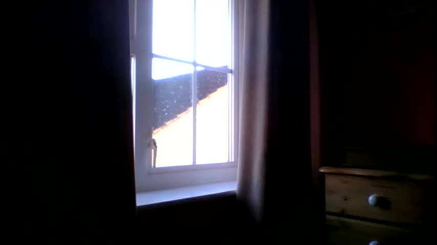 annecharlie Cam Model Chat January 4, 2026