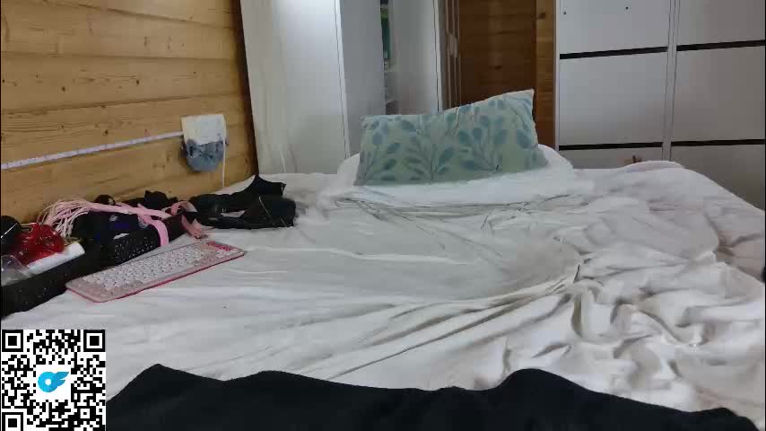 wild41 Cam Model Chat January 4, 2026