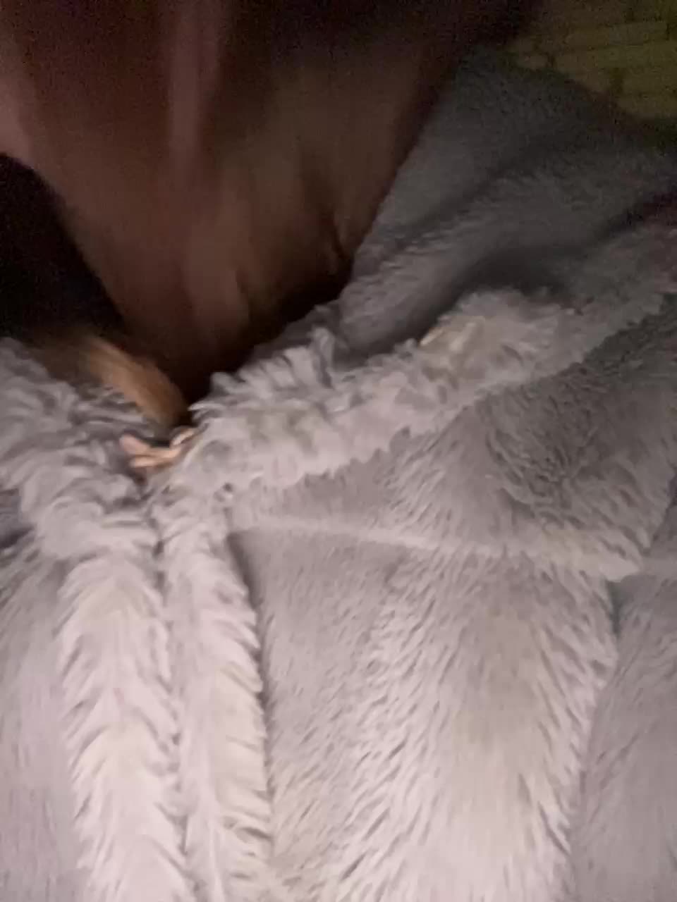 SWEET1SQUIRT Cam Model Chat January 4, 2026