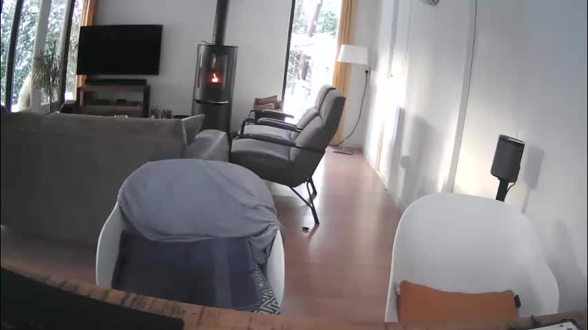 woodwurm Cam Model Chat January 5, 2026