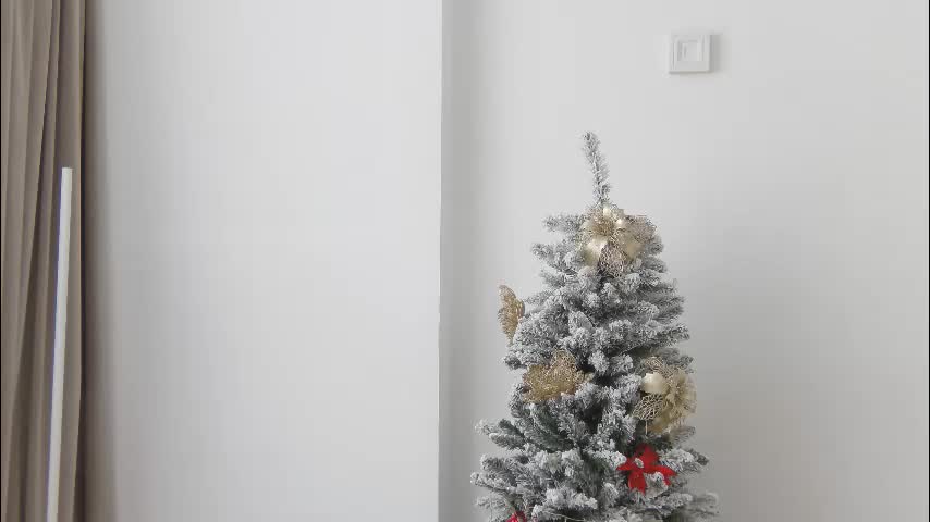 dollyvega Cam Model Chat January 5, 2026