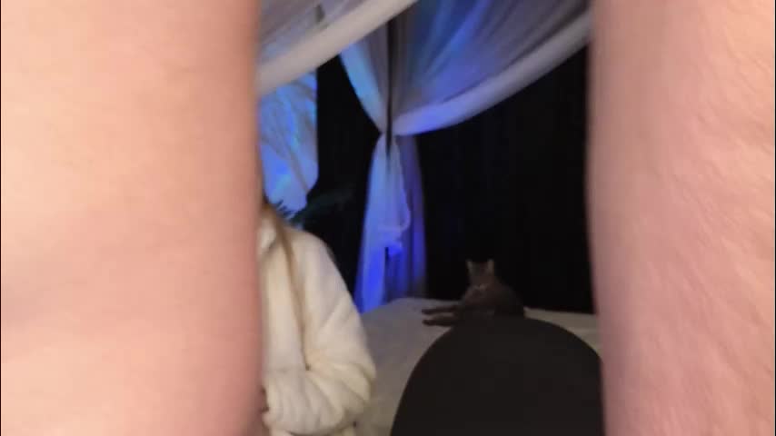 xxxvandersexxx Cam Model Chat January 6, 2026