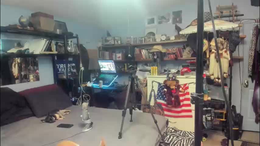 pink_black Cam Model Chat January 7, 2026