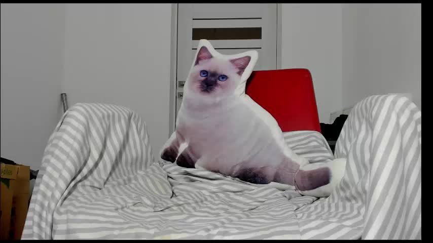 you_love_melisa Cam Model Chat January 7, 2026
