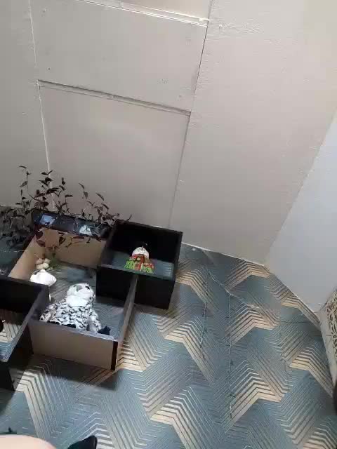 GumaLis13 Cam Model Chat January 7, 2026