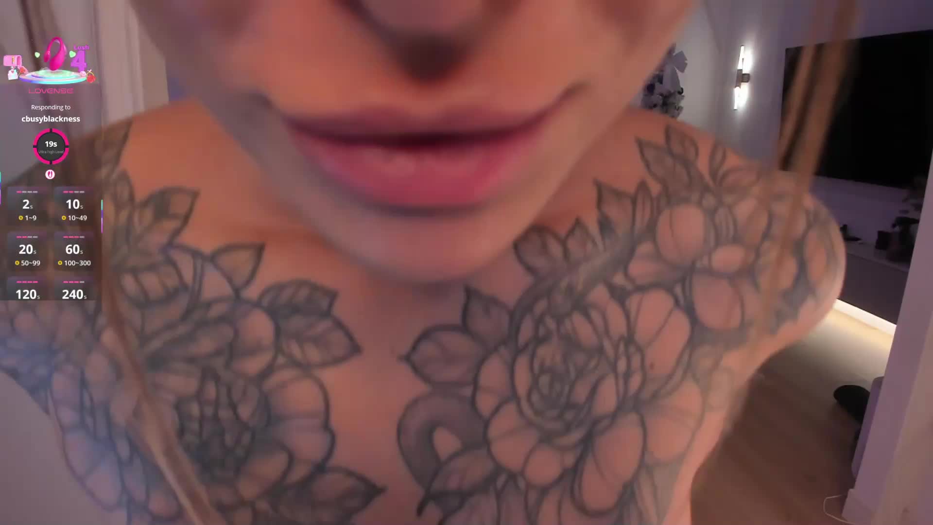 seilyfox Cam Model Chat January 8, 2026