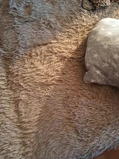 Kirill_Maria Cam Model Chat January 8, 2026