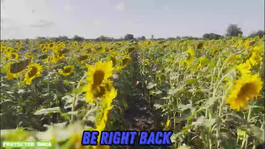 sunflower0907 Cam Model Chat January 8, 2026