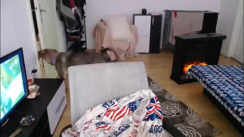 aliens4twenty Cam Model Chat January 9, 2026