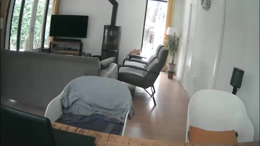 woodwurm Cam Model Chat January 9, 2026