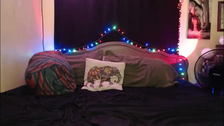 foxymalloryknoxy69 Cam Model Chat January 10, 2026