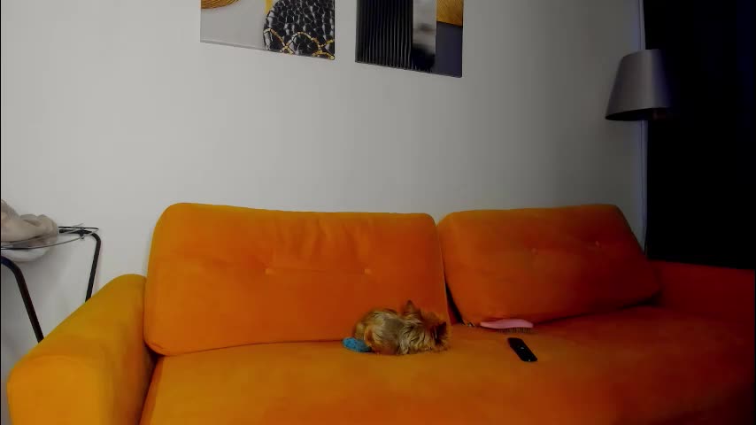 patricia_bloom Cam Model Chat January 10, 2026