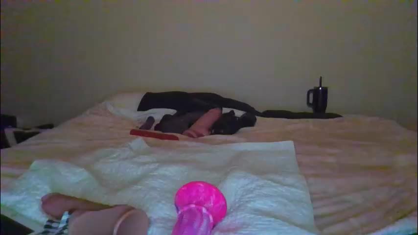 sdbeachfreaks Cam Model Chat January 11, 2026