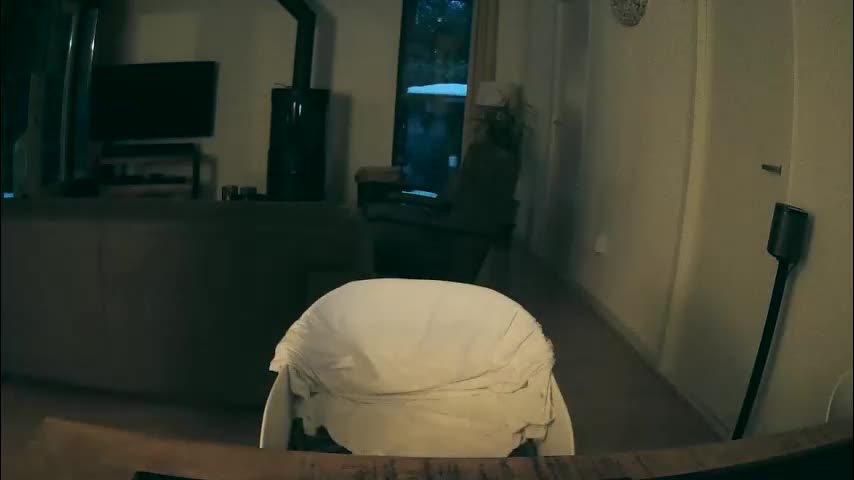 woodwurm Cam Model Chat January 12, 2026