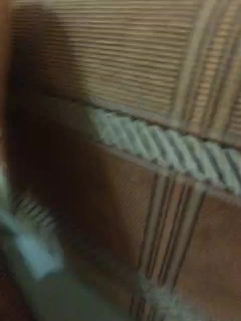 Dooomina35 Cam Model Chat January 13, 2026