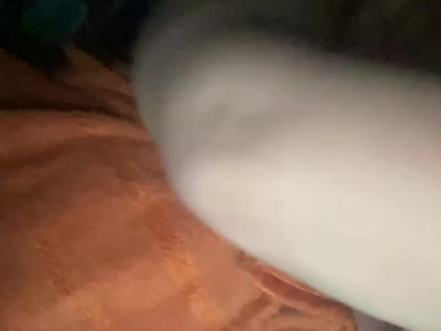 EVIL_TITS Cam Model Chat January 13, 2026