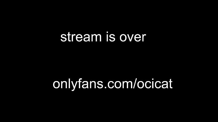 ocicat Cam Model Chat January 13, 2026