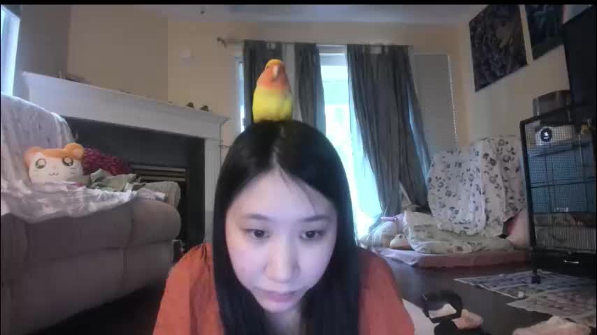 alizezaide Cam Model Chat January 13, 2026