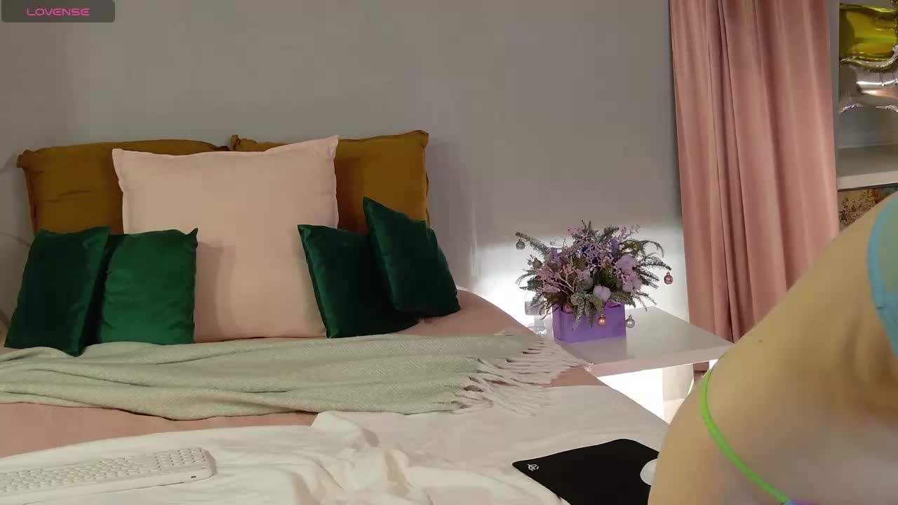 Visbee Cam Model Chat January 13, 2026