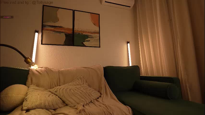 tollysage Cam Model Chat January 13, 2026