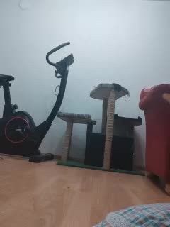 IrinaLitvinova Cam Model Chat January 13, 2026