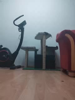 IrinaLitvinova Cam Model Chat January 13, 2026