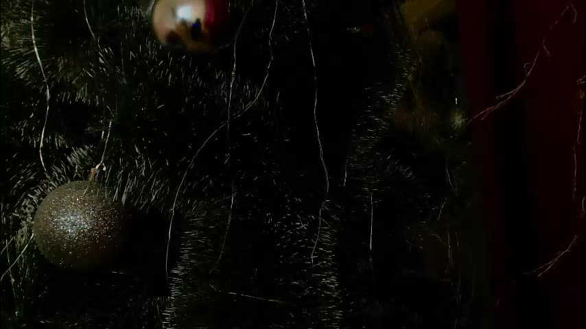 imcarrieberry Cam Model Chat January 13, 2026