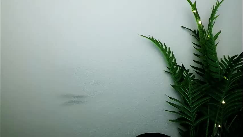 veryveryshygirl Cam Model Chat January 13, 2026