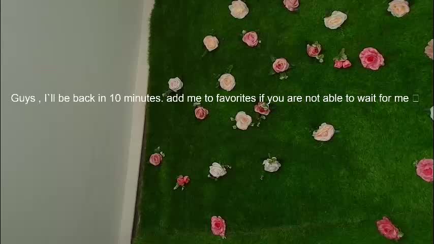 megatitts_ Cam Model Chat January 13, 2026