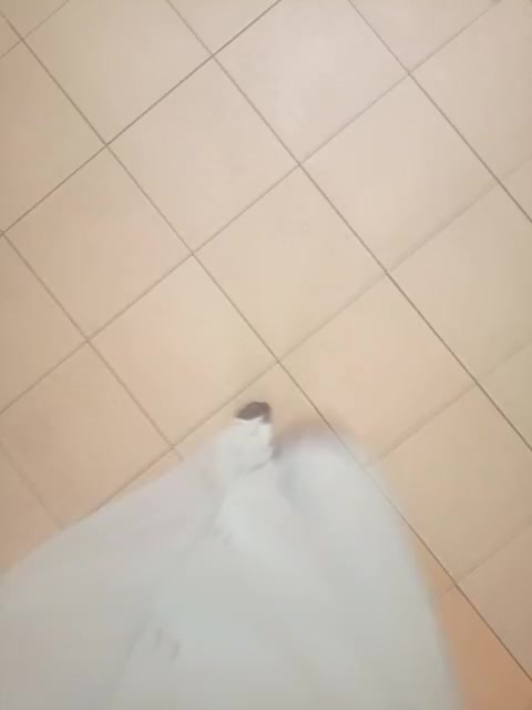 Lady-marshmallows Cam Model Chat January 13, 2026