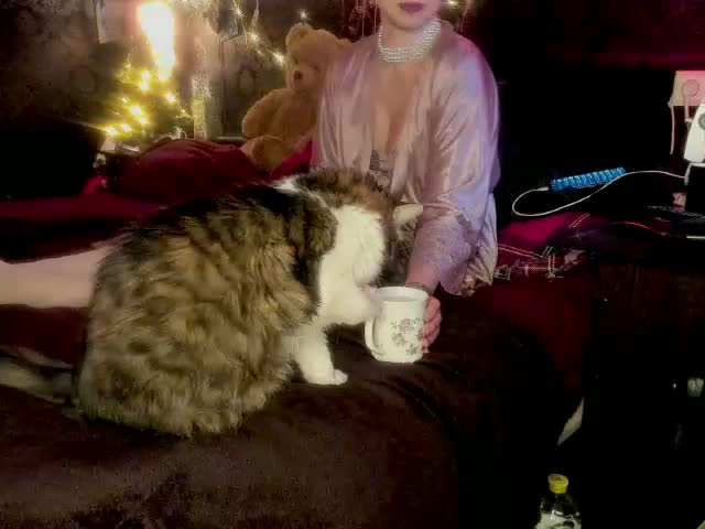 miss-asmodeus Cam Model Chat January 13, 2026