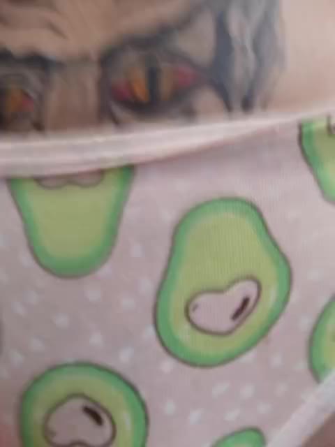 RedFox9595 Cam Model Chat January 13, 2026