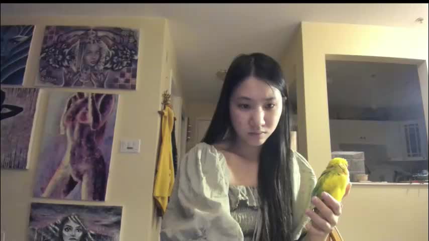 alizezaide Cam Model Chat January 13, 2026