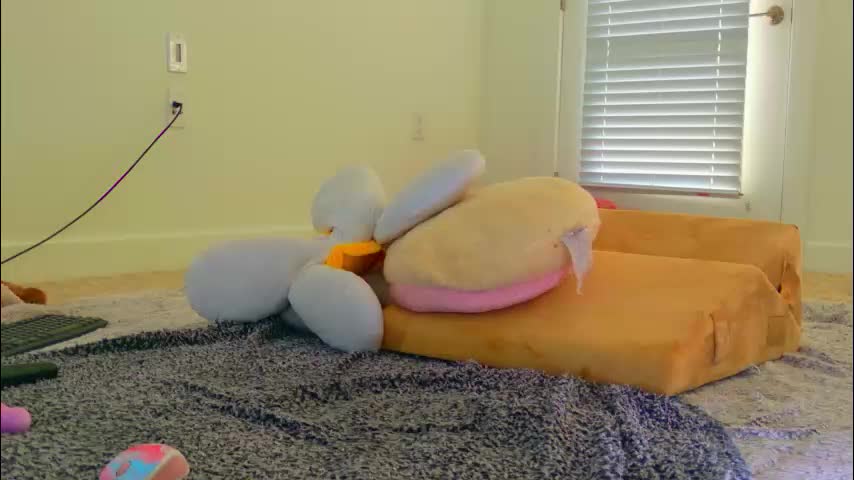 shaylavee Cam Model Chat January 13, 2026