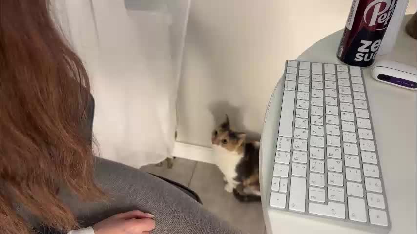 xxx_leila Cam Model Chat January 13, 2026