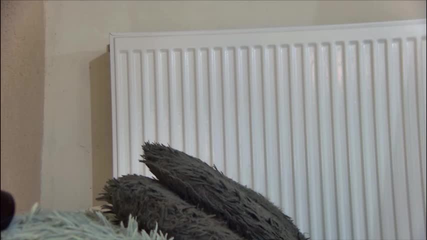 anaworld69 Cam Model Chat January 13, 2026