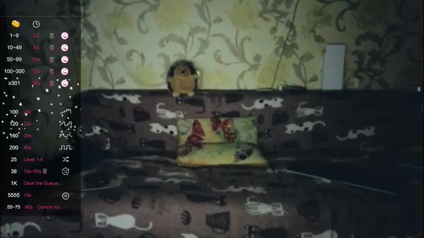 tender__ada Cam Model Chat January 13, 2026