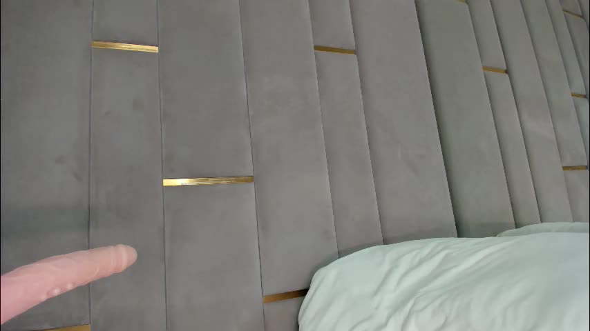 evalims Cam Model Chat January 13, 2026