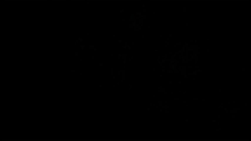 aisharouhi Cam Model Chat January 13, 2026