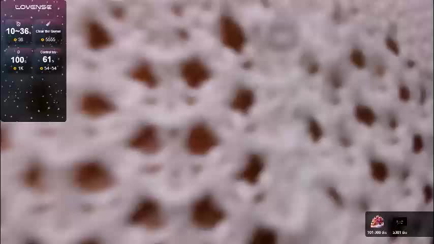 sherill_brill Cam Model Chat January 13, 2026