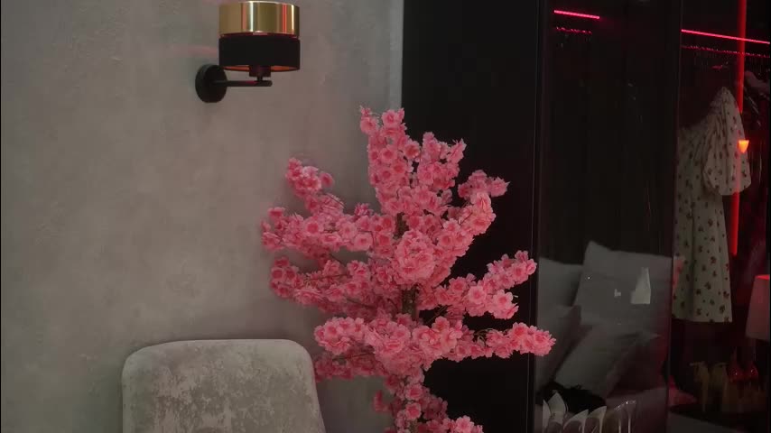 arte_adelle Cam Model Chat January 13, 2026