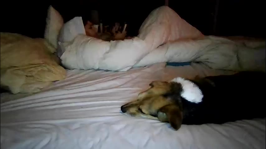 xxverabbyxx Cam Model Chat January 15, 2026