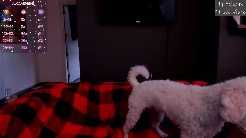 kortney_williams Cam Model Chat January 15, 2026