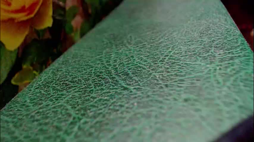 shyredstar Cam Model Chat January 15, 2026