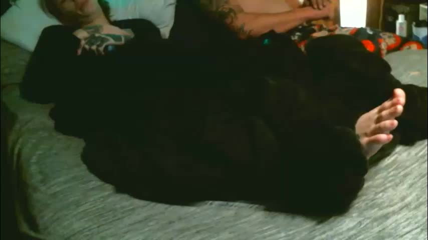 sydetrak4469 Cam Model Chat January 16, 2026