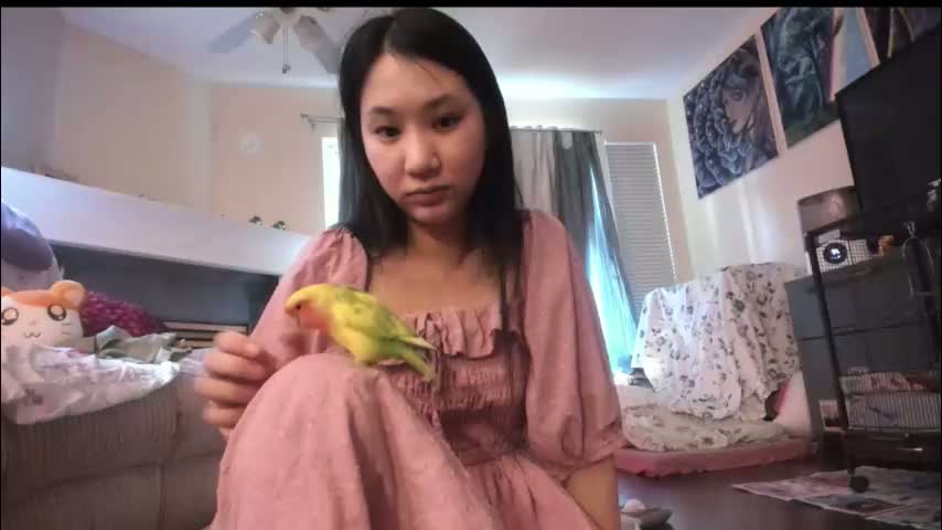 alizezaide Cam Model Chat January 17, 2026