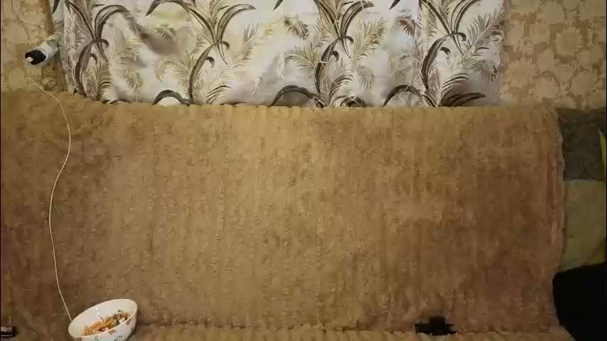 mirahardmanxx Cam Model Chat January 17, 2026